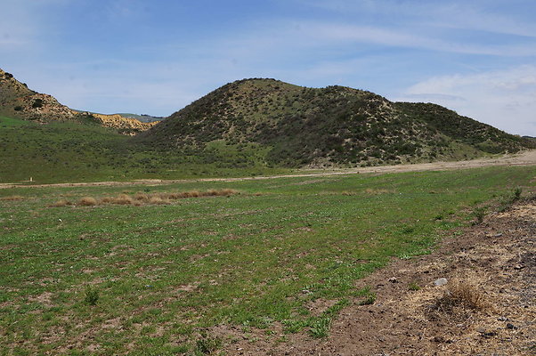 DSC01147