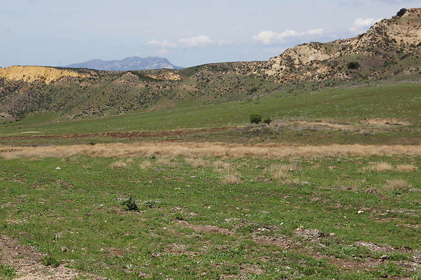 DSC01142