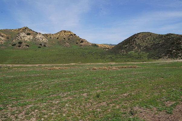 DSC01131