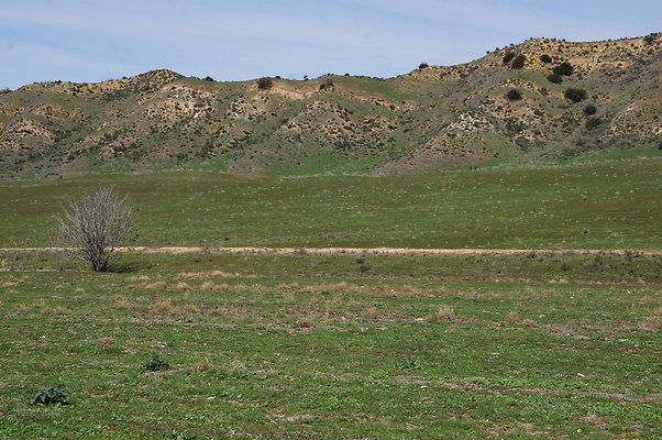 DSC01134