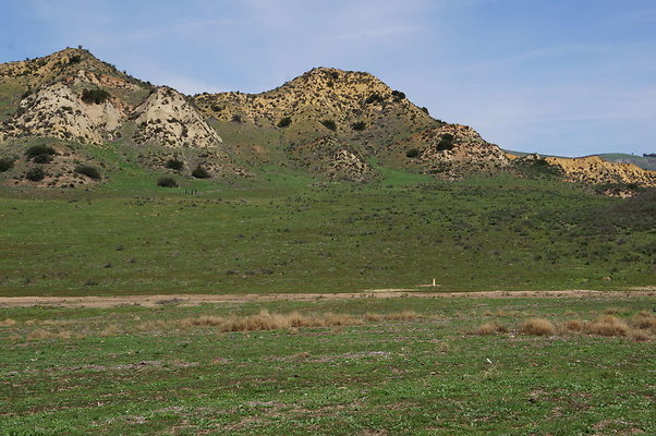 DSC01137
