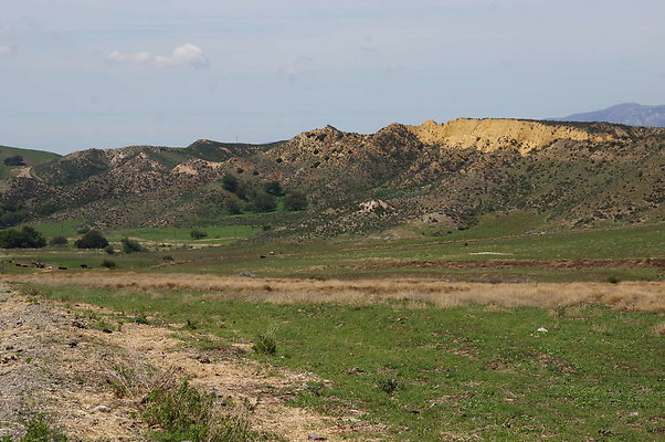 DSC01141