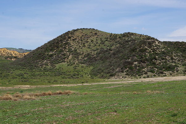 DSC01138