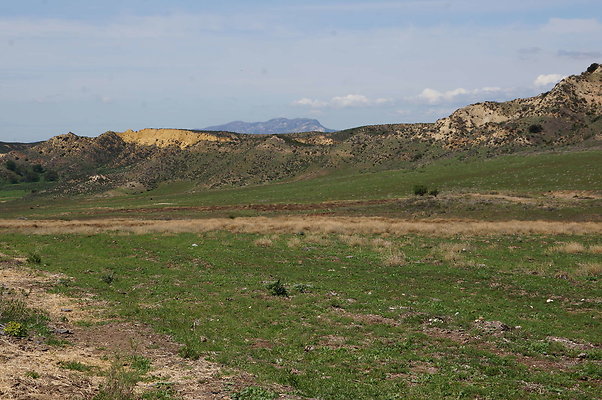 DSC01132