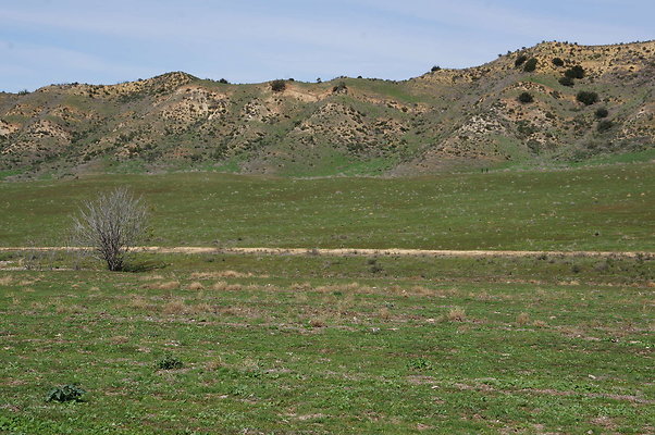 DSC01135