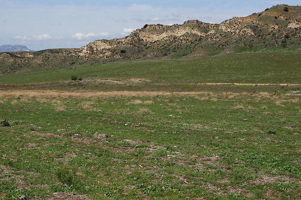 DSC01143