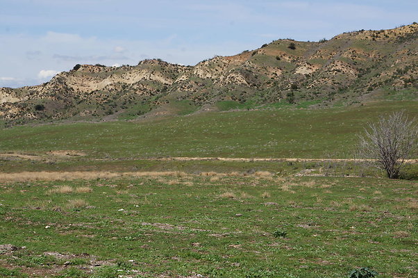 DSC01133
