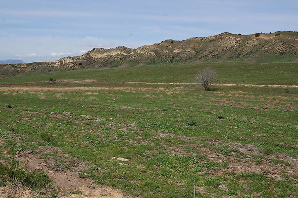 DSC01144