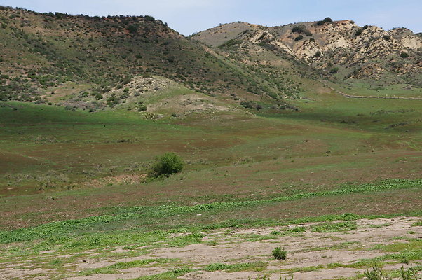 DSC01161