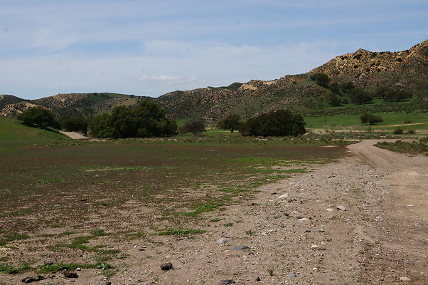 DSC01171