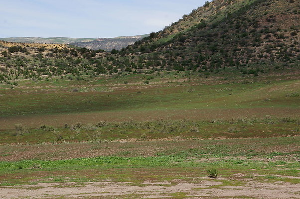 DSC01159