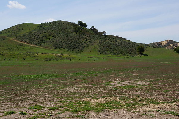 DSC01169