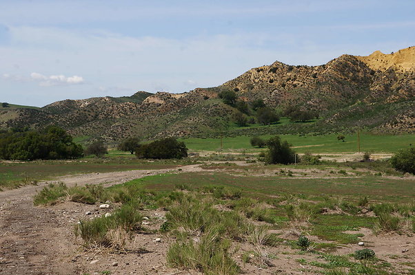 DSC01155