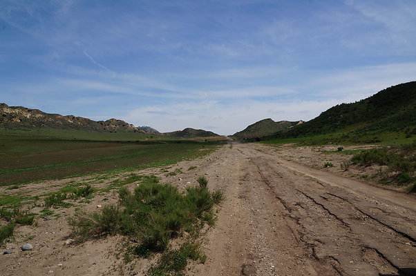 DSC01153