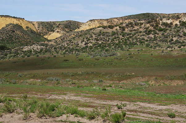 DSC01157
