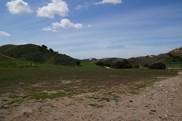 DSC01166