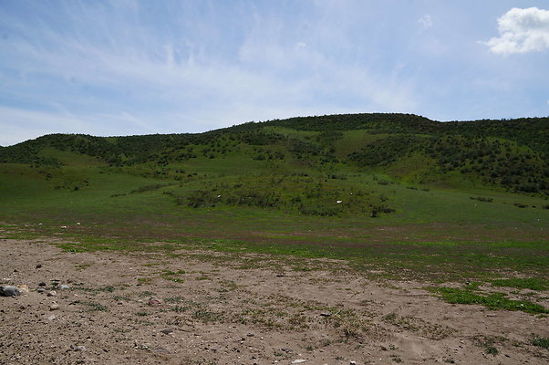 DSC01164