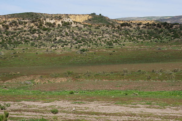 DSC01158