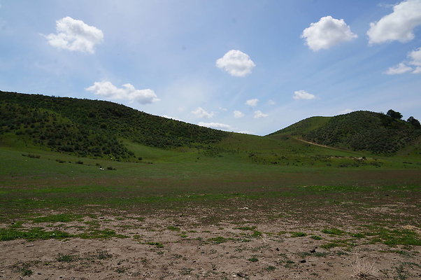 DSC01165