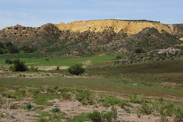 DSC01156