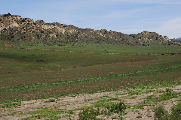 DSC01162