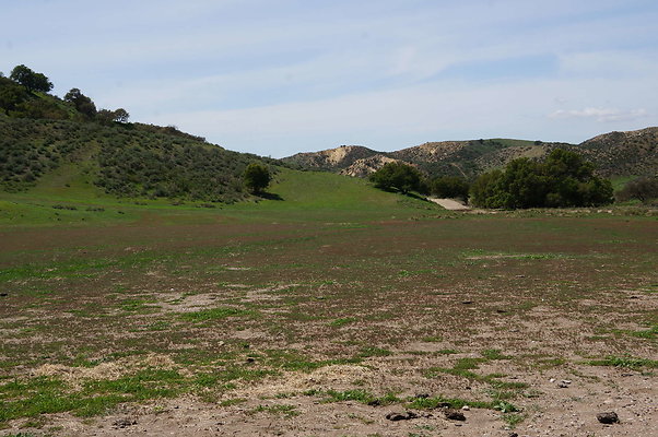 DSC01170