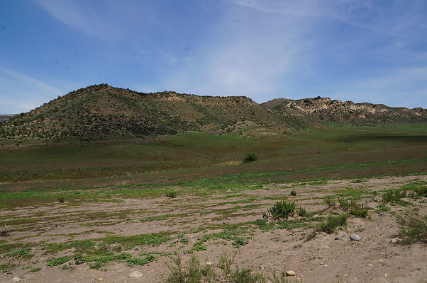 DSC01151