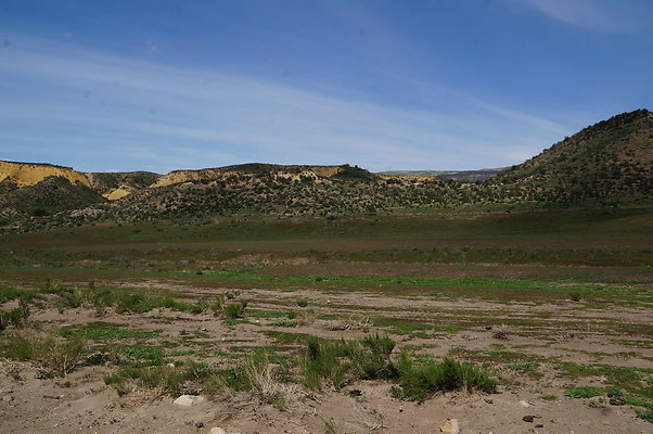 DSC01150