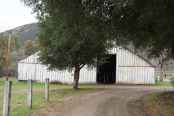 DSC07374