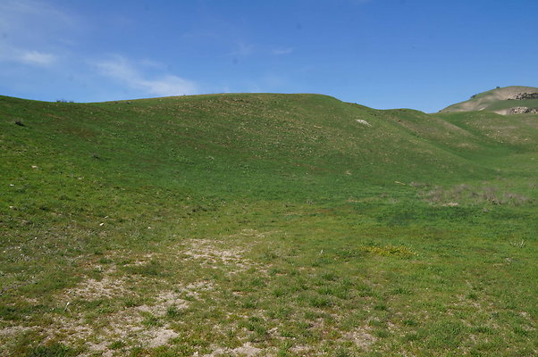DSC01274