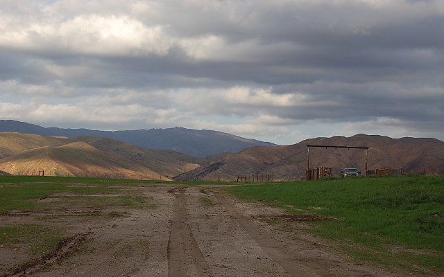 DSC 0291