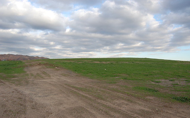 DSC 0295