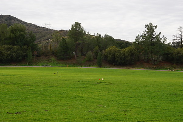 DSC08222