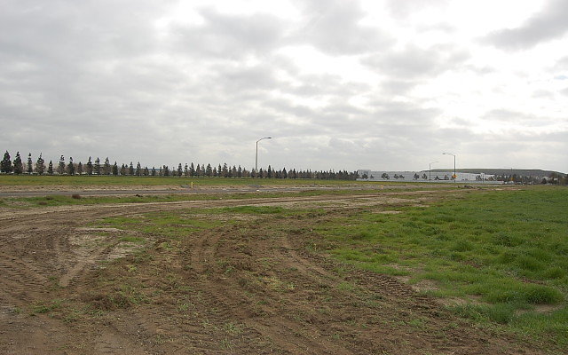DSC 0084