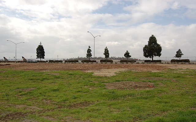DSC 0118