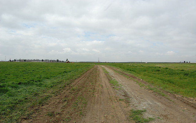 DSC 0077