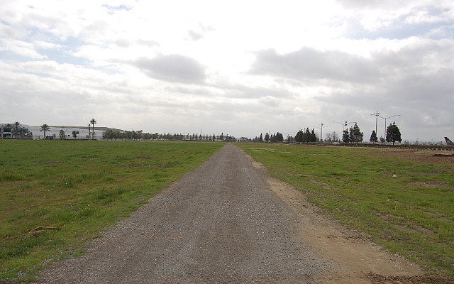 DSC 0117