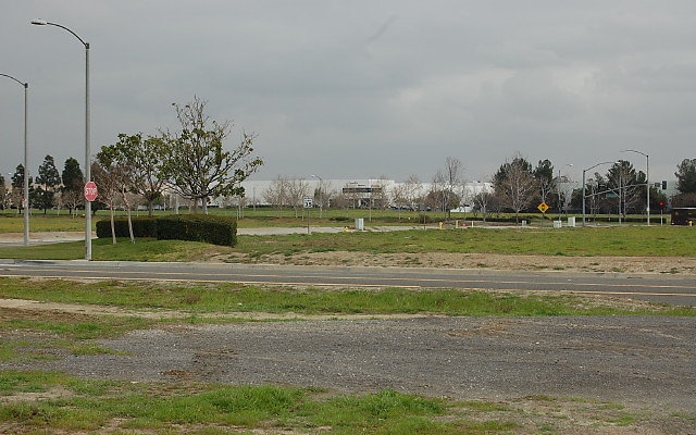 DSC 0079