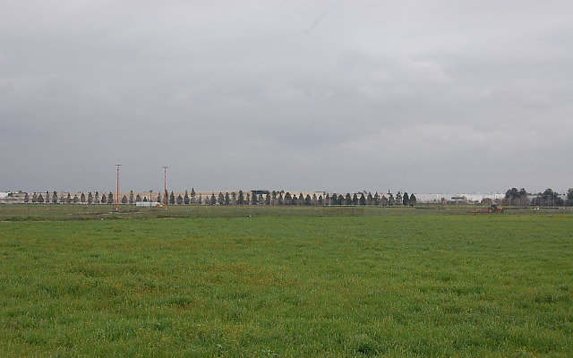 DSC 0123