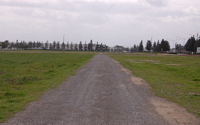 DSC 0113