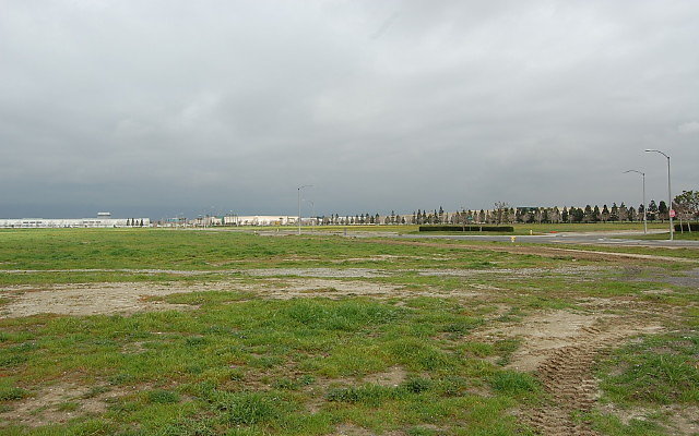 DSC 0082
