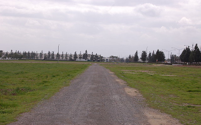 DSC 0115