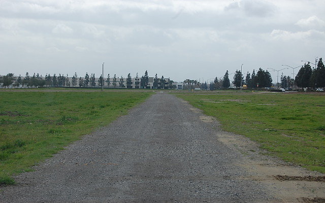 DSC 0107