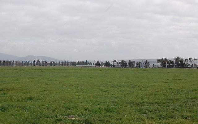 DSC 0125