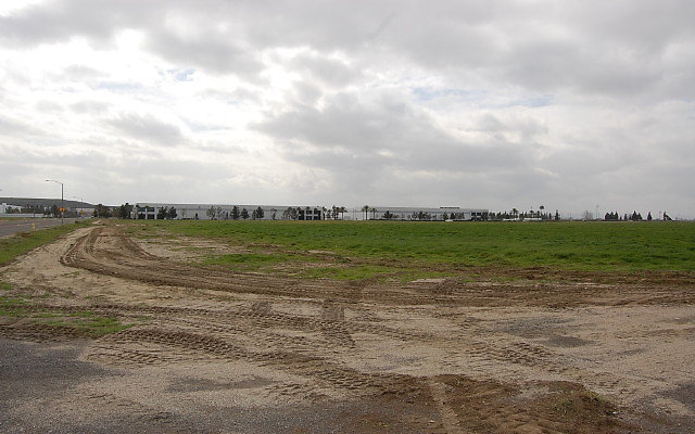 DSC 0087