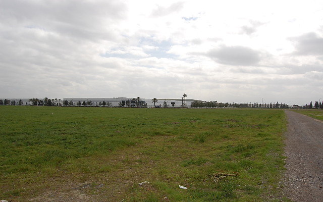DSC 0121