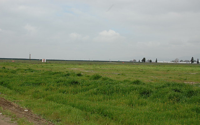 DSC 0075