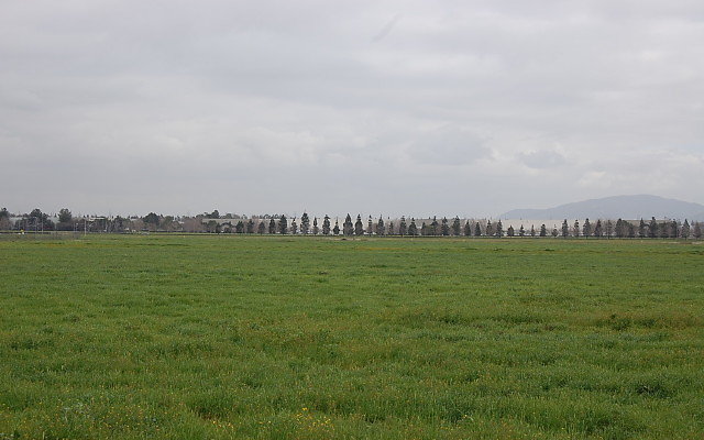 DSC 0124