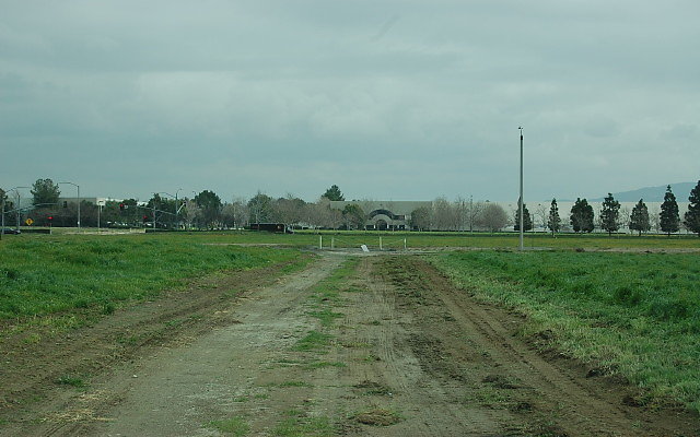 DSC 0071