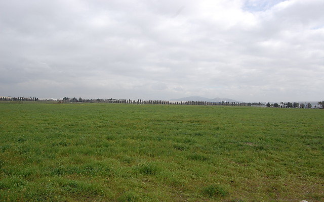 DSC 0120